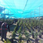 EFA El Soto Granada - Estudiar TECO; TAFAD, Gestión Alojamientos Turisticos, Prevención riesgos profesionales