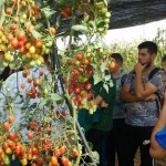 EFA El Soto Granada - Estudiar TECO; TAFAD, Gestión Alojamientos Turisticos, Prevención riesgos profesionales