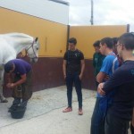 EFA El Soto Granada - Estudiar TECO; TAFAD, Gestión Alojamientos Turisticos, Prevención riesgos profesionales