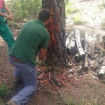 EFA El Soto Granada - Estudiar TECO; TAFAD, Gestión Alojamientos Turisticos, Prevención riesgos profesionales