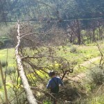 EFA El Soto Granada - Estudiar TECO; TAFAD, Gestión Alojamientos Turisticos, Prevención riesgos profesionales