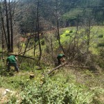 EFA El Soto Granada - Estudiar TECO; TAFAD, Gestión Alojamientos Turisticos, Prevención riesgos profesionales