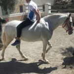EFA El Soto Granada - Estudiar TECO; TAFAD, Gestión Alojamientos Turisticos, Prevención riesgos profesionales