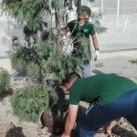 EFA El Soto Granada - Estudiar TECO; TAFAD, Gestión Alojamientos Turisticos, Prevención riesgos profesionales