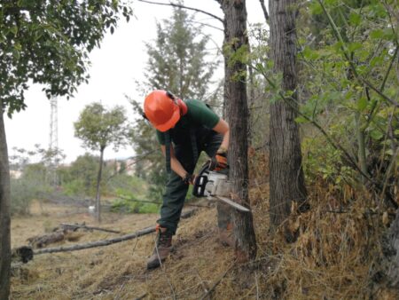 (CFGB-FOR) Formación Profesional Básica de Aprovechamientos Forestales (Presencial)