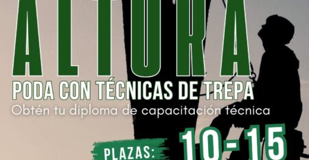 Poda en altura