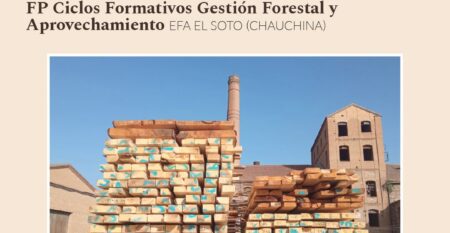 WhatsApp Image 2026-01-28 at 10.22.19