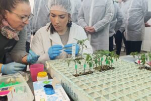 WhatsApp Image 2026-01-21 at 12.02.31