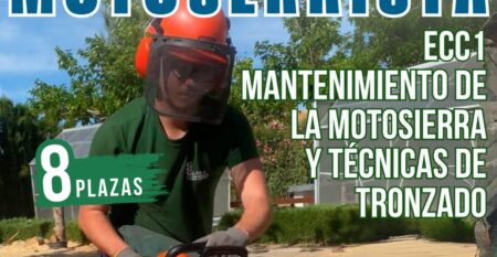 WhatsApp Image 2026-02-19 at 12.58.01