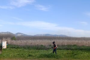 WhatsApp Image 2026-03-11 at 09.53.51 (3)