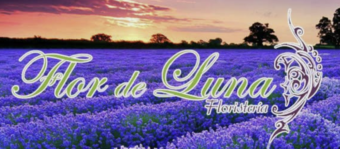Floristeria Flor De Luna