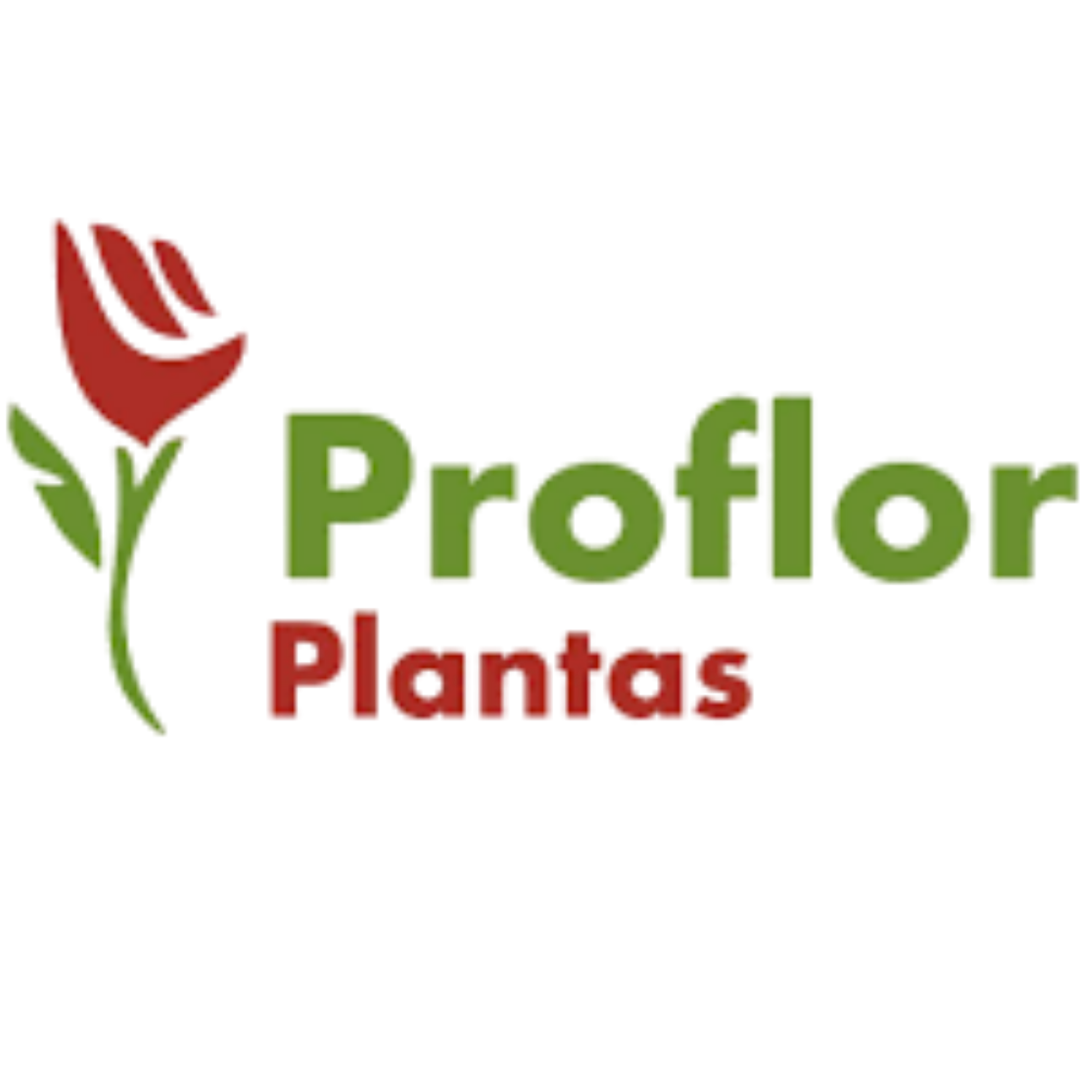 Proflor