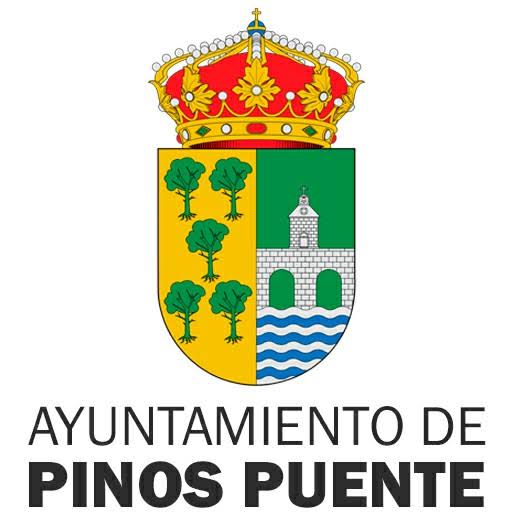 Ayutamiento De Pinos Puente